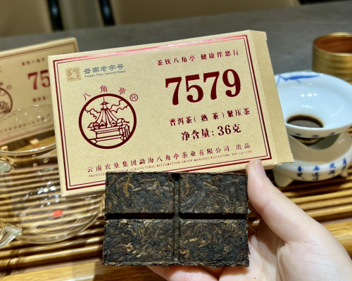 2025款7579普洱熟茶评测