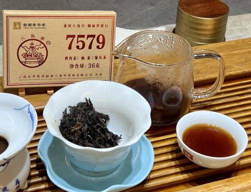 八角亭7579第五泡茶汤及叶底